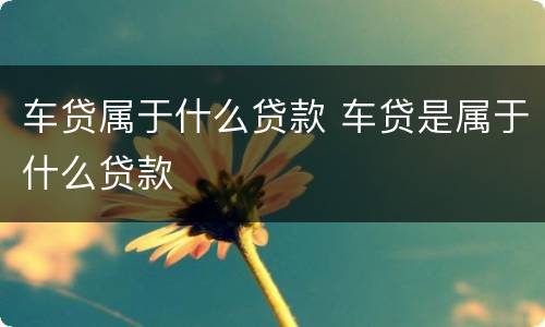 车贷属于什么贷款 车贷是属于什么贷款