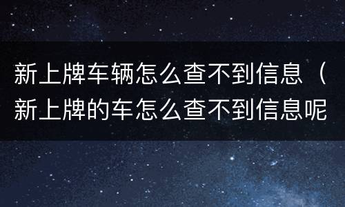 新上牌车辆怎么查不到信息（新上牌的车怎么查不到信息呢）