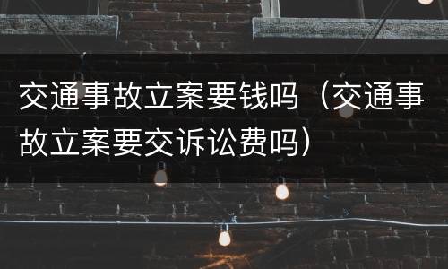 交通事故立案要钱吗（交通事故立案要交诉讼费吗）