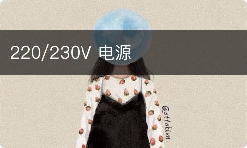 220/230V 电源
