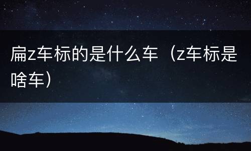 扁z车标的是什么车（z车标是啥车）