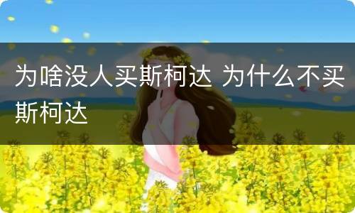 为啥没人买斯柯达 为什么不买斯柯达