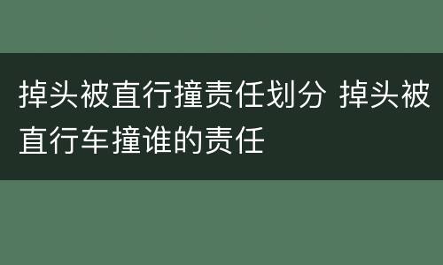 掉头被直行撞责任划分 掉头被直行车撞谁的责任