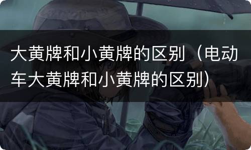 大黄牌和小黄牌的区别（电动车大黄牌和小黄牌的区别）