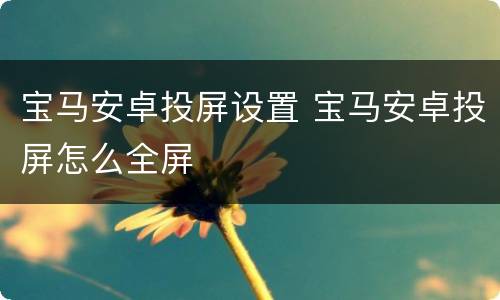 宝马安卓投屏设置 宝马安卓投屏怎么全屏