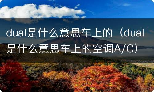 dual是什么意思车上的（dual是什么意思车上的空调A/C）