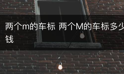 两个m的车标 两个M的车标多少钱