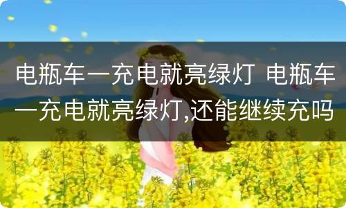 电瓶车一充电就亮绿灯 电瓶车一充电就亮绿灯,还能继续充吗