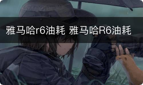 雅马哈r6油耗 雅马哈R6油耗