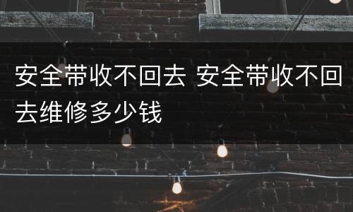 安全带收不回去 安全带收不回去维修多少钱