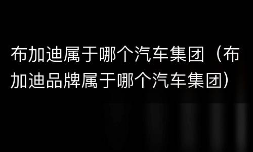 布加迪属于哪个汽车集团（布加迪品牌属于哪个汽车集团）