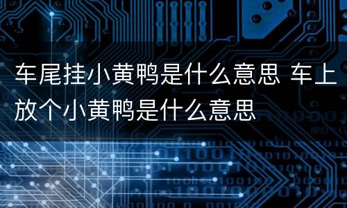 车尾挂小黄鸭是什么意思 车上放个小黄鸭是什么意思