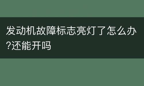 发动机故障标志亮灯了怎么办?还能开吗