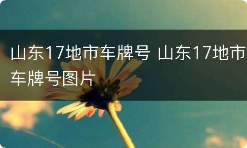 山东17地市车牌号 山东17地市车牌号图片