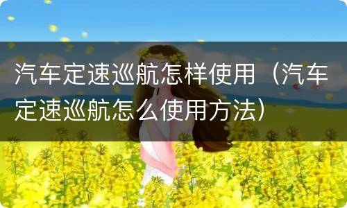 汽车定速巡航怎样使用（汽车定速巡航怎么使用方法）