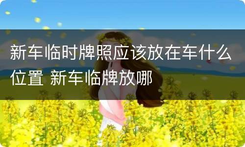 新车临时牌照应该放在车什么位置 新车临牌放哪