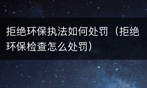 拒绝环保执法如何处罚（拒绝环保检查怎么处罚）