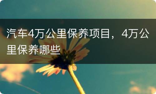 汽车4万公里保养项目，4万公里保养哪些