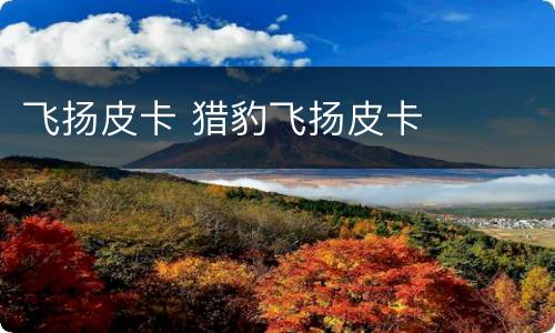 飞扬皮卡 猎豹飞扬皮卡