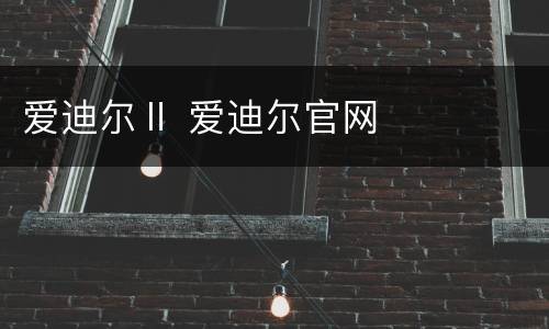 爱迪尔Ⅱ 爱迪尔官网