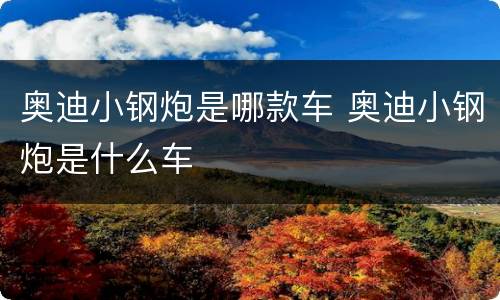 奥迪小钢炮是哪款车 奥迪小钢炮是什么车