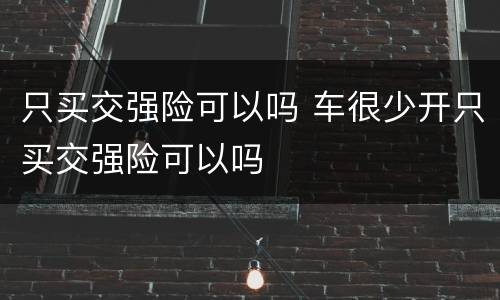 只买交强险可以吗 车很少开只买交强险可以吗