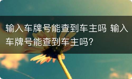 输入车牌号能查到车主吗 输入车牌号能查到车主吗?