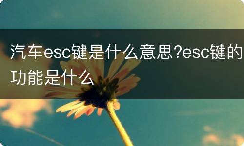 汽车esc键是什么意思?esc键的功能是什么