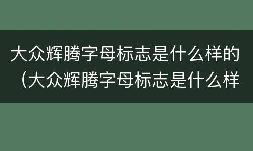 大众辉腾字母标志是什么样的（大众辉腾字母标志是什么样的啊）