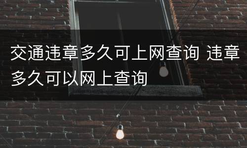 交通违章多久可上网查询 违章多久可以网上查询