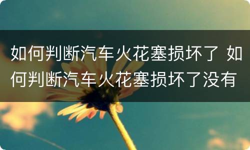 如何判断汽车火花塞损坏了 如何判断汽车火花塞损坏了没有