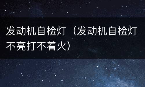 发动机自检灯（发动机自检灯不亮打不着火）