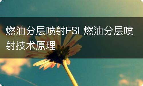 燃油分层喷射FSI 燃油分层喷射技术原理