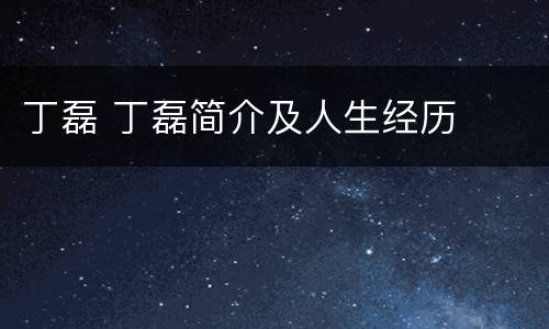 丁磊 丁磊简介及人生经历