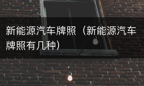 新能源汽车牌照（新能源汽车牌照有几种）