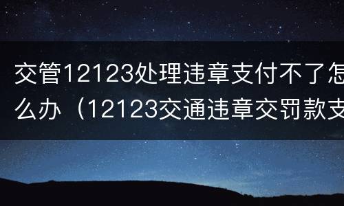 交管12123处理违章支付不了怎么办（12123交通违章交罚款支付不了）