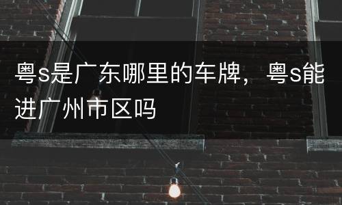 粤s是广东哪里的车牌，粤s能进广州市区吗