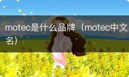 motec是什么品牌（motec中文名）