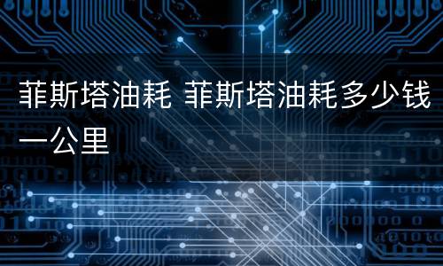 菲斯塔油耗 菲斯塔油耗多少钱一公里