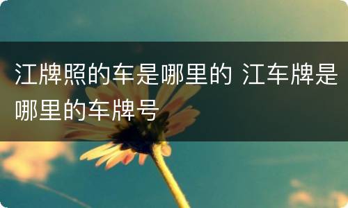江牌照的车是哪里的 江车牌是哪里的车牌号