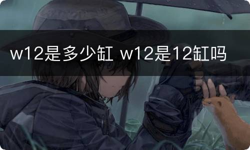 w12是多少缸 w12是12缸吗