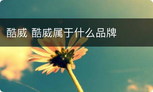 酷威 酷威属于什么品牌