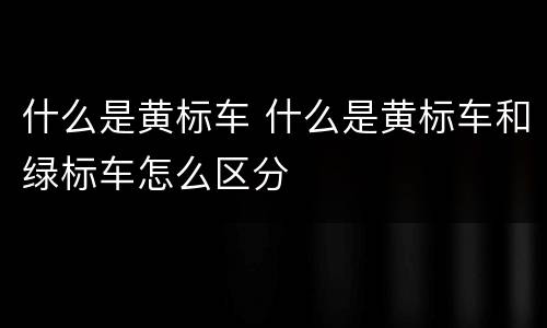 什么是黄标车 什么是黄标车和绿标车怎么区分