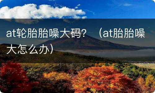 at轮胎胎噪大码？（at胎胎噪大怎么办）