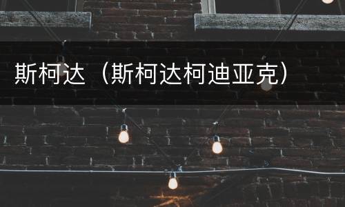 斯柯达（斯柯达柯迪亚克）