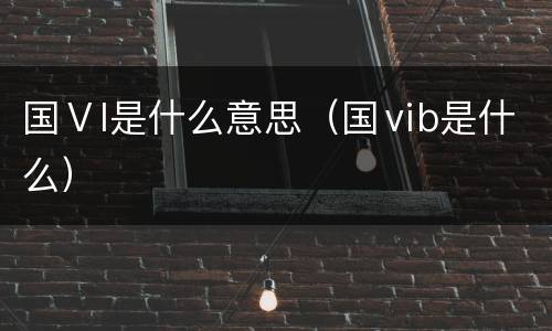 国Ⅴl是什么意思（国ⅵb是什么）