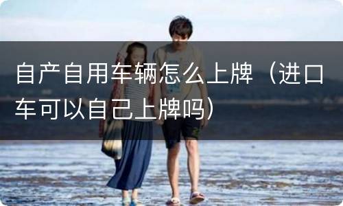 自产自用车辆怎么上牌（进口车可以自己上牌吗）