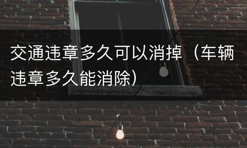 交通违章多久可以消掉（车辆违章多久能消除）