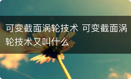 可变截面涡轮技术 可变截面涡轮技术又叫什么