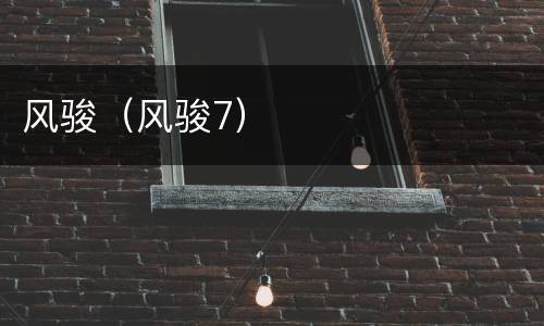 风骏（风骏7）
